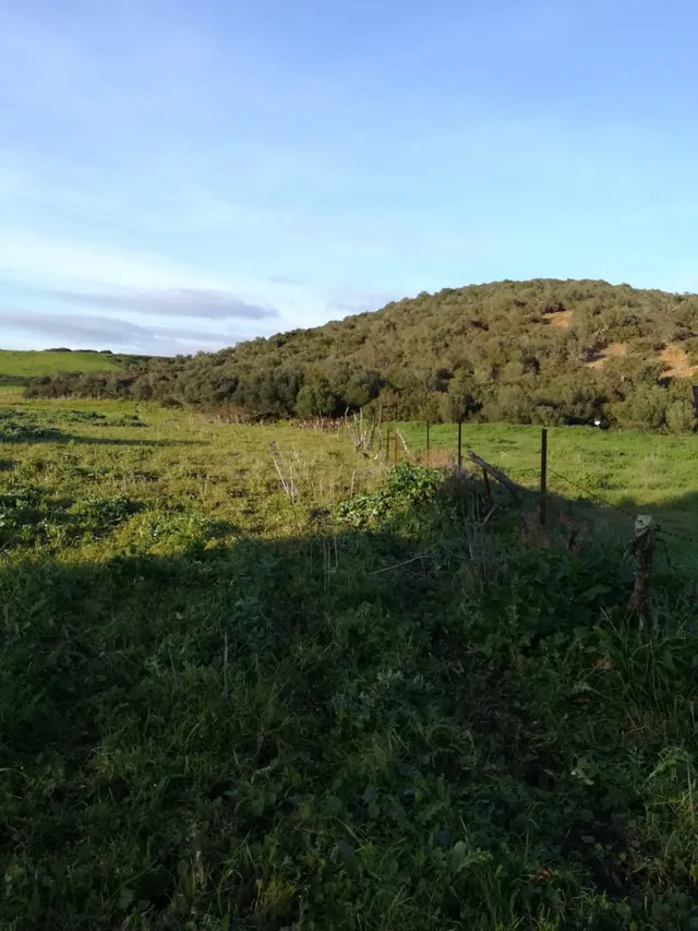 Parcela Rústica en Naveros a pie de carretera. - foto 5