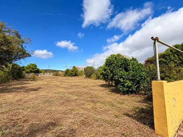 FINCA RÚSTICA CON VIVIENDA EN EL PALMITAL, STA. MARÍA DE GUÍA — 7