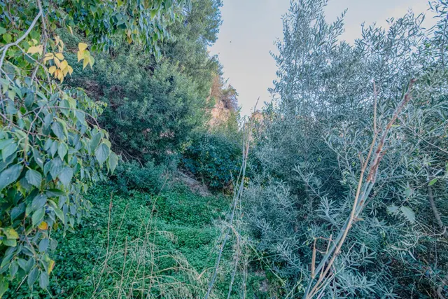 Oportunidad Única: Terreno Urbano en Vélez de Benaudalla - Costa Tropical — 21