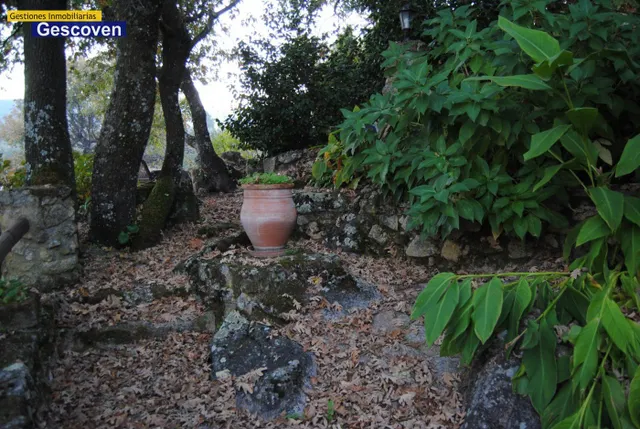 HERMOSO COMPLEJO DE APARTAMENTOS RURALES CON PARCELA, PISCINA, TERRAZAS Y JARDINES — 24