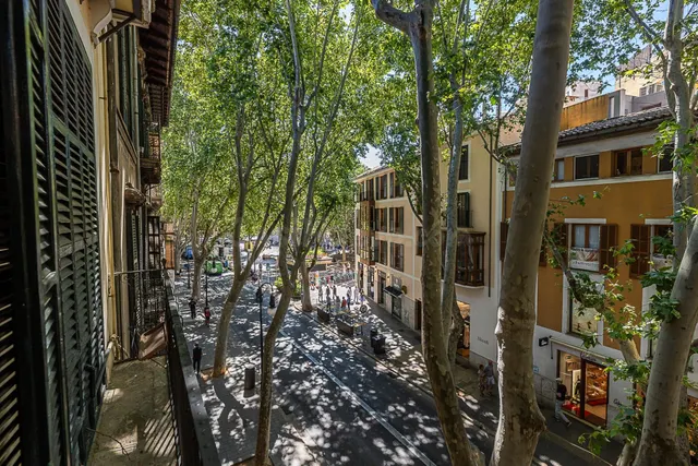 Exclusivo dúplex en alquiler en el corazón de Palma - foto 3
