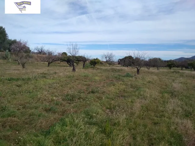 OPORTUNIDAD TERRENO CON REFUGIO EN AGULLENT/ALBAIDA — 4