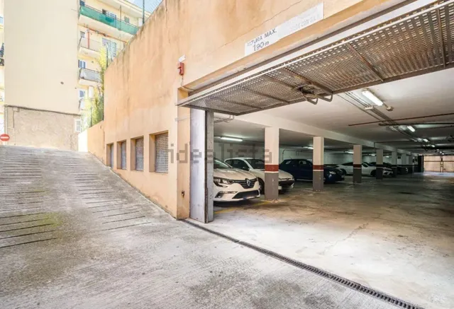 PISO EN ALQUILER PRIMERA LÍNEA DEL ARENAL — 31