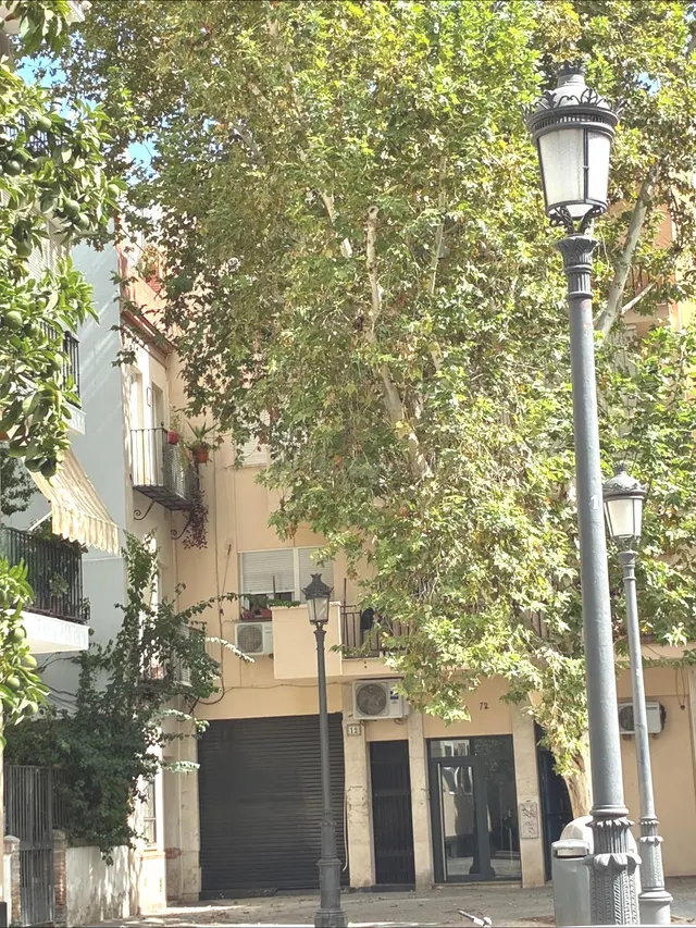 Piso 2 habitaciones 75m² en venta - San Luís - foto 2