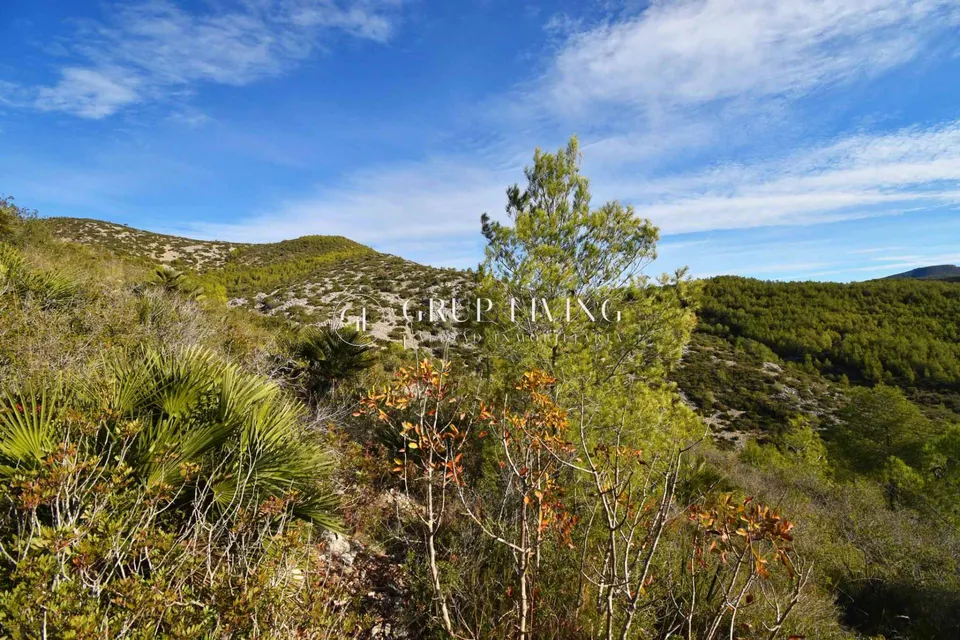 DOS TERRENOS CONTIGUOS EN PLENA NATURALEZA