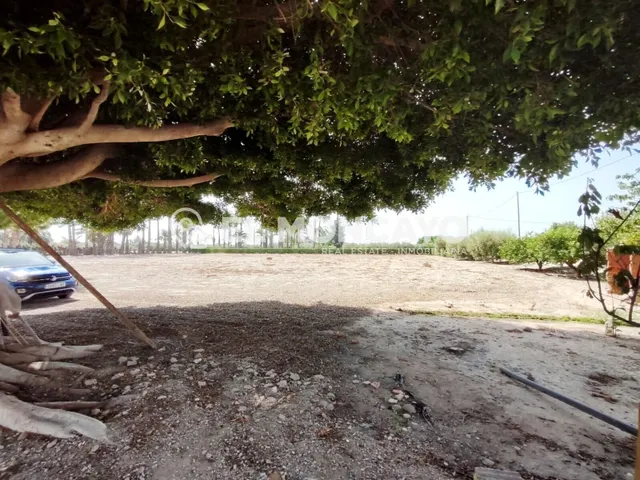 Fantástica casa de campo con parcela en la zona del campo de Elche, Alicante, Costa Blanca — 14