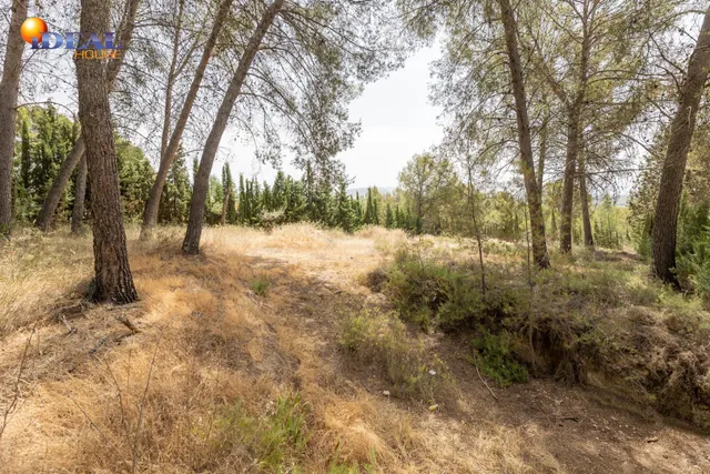 EXCLUSIVO TERRENO EN VENTA EN ALBOLOTE — 17