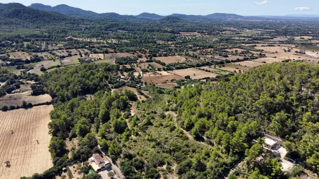 Terreno rústico de 10.000m2 en son quetlles, Felanitx — 12