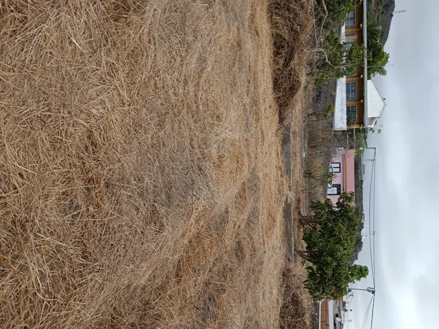 Terreno urbano de 2.500 m2 en Icod de los Vinos | oportunidad para inversores — 36