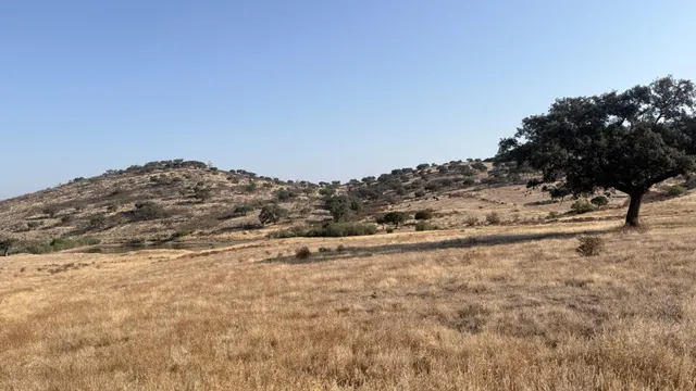 Finca rústica de 656 ha en Puebla de Guzmán (Huelva) — 19