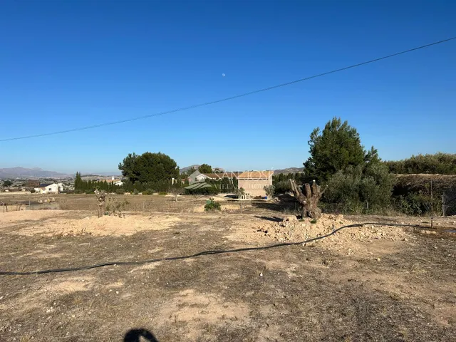 VENTA DE PARCELA EN ASPE, GRAN OPORTUNIDAD CON PROYECTO DE construcción DE VIVIENDA UNIFAMILIAR — 10