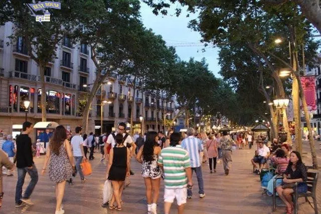 PISO AMUEBLADO EN CENTRO DE LA CIUDAD — 26