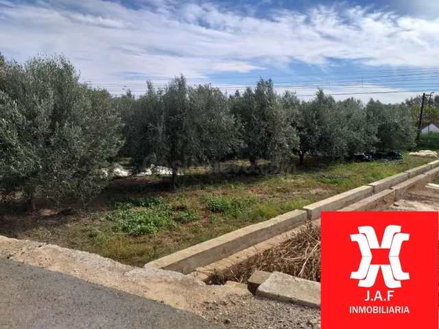 TERRENO DE OLIVERAS A LA VENTA EN MONCADA - foto 4