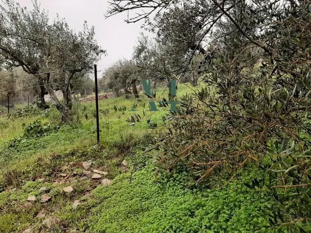 Terreno Rural en Zona Risco - Sierra de Fuentes - foto 2