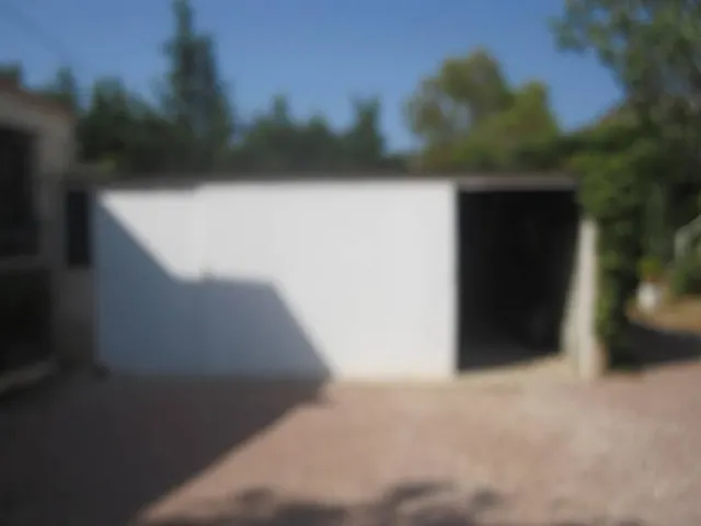 CHALET EN LAS SALINETAS CERCA DEL CLOT DE LA SAL — 35
