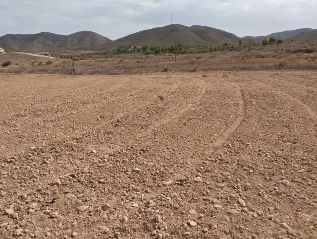 Parcela con licencia y proyecto en Lorca - Zona Purias — 6