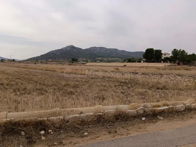 VENTA DE PARCELA EN LA ROMANA (ALICANTE) - foto 2
