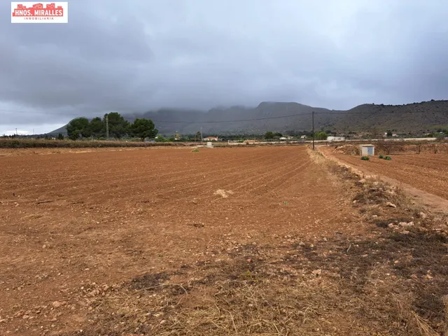 VENTA CASA CON TERRENO EN HONDON DE LAS NIEVES — 2