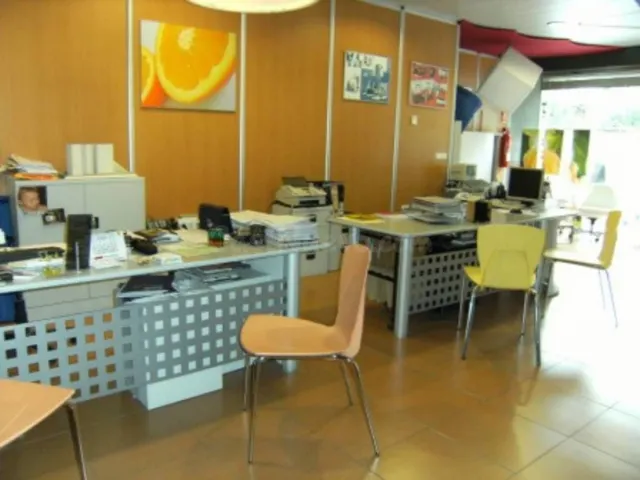 LOCAL COMERCIAL - foto 2