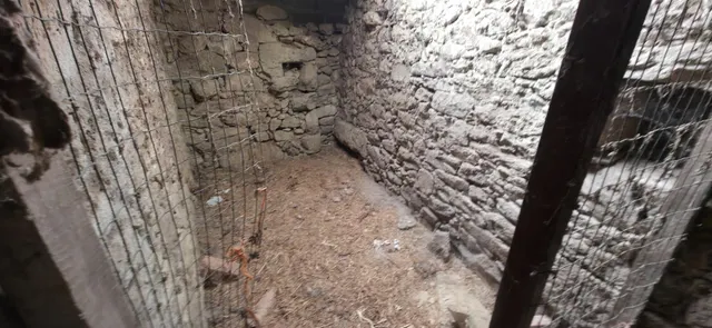 CASA DE PIEDRA EN RUINAS CON PARCELA EN DODRO — 3