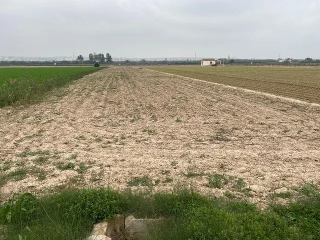 Terreno rural en venta - guardamar del segura