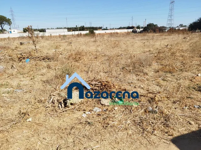 PARCELA EN VENTA LA RUANA