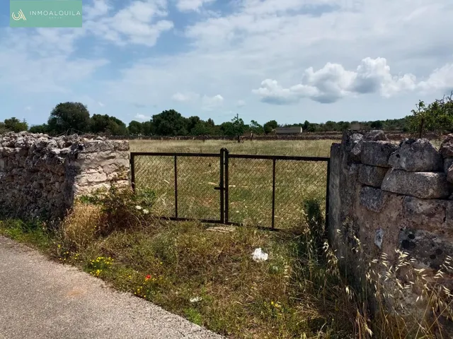 Finca edificable con proyecto — 3