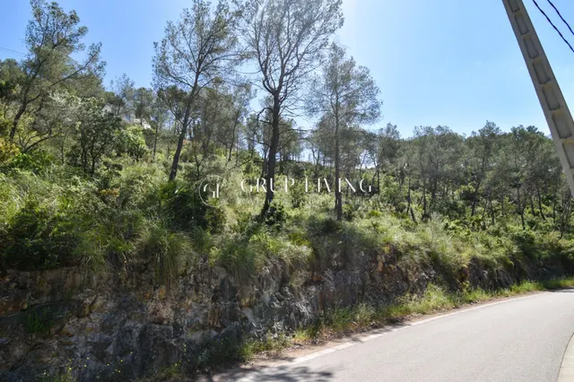 TERRENO EN MAS MESTRE, OLIVELLA — 8