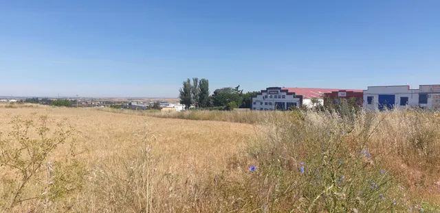 Urbis te ofrece un Terreno Agrario No Urbano en Salamanca, Zona PEÑISCAS, Salamanca — 5