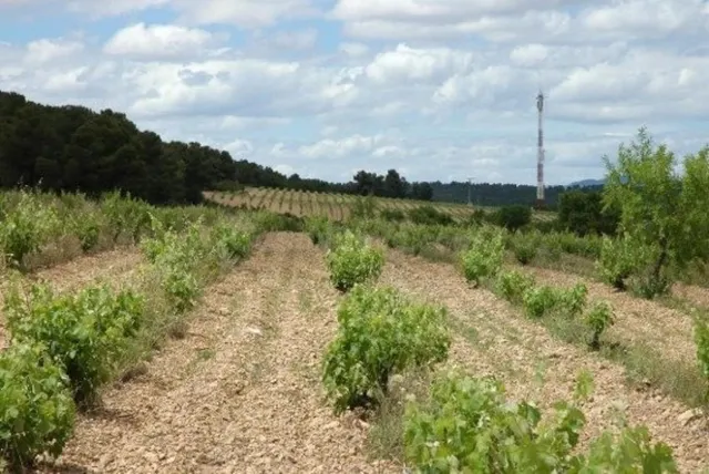 FINCA ECOLOGICA PREMIUM CON BODEGA - foto 3