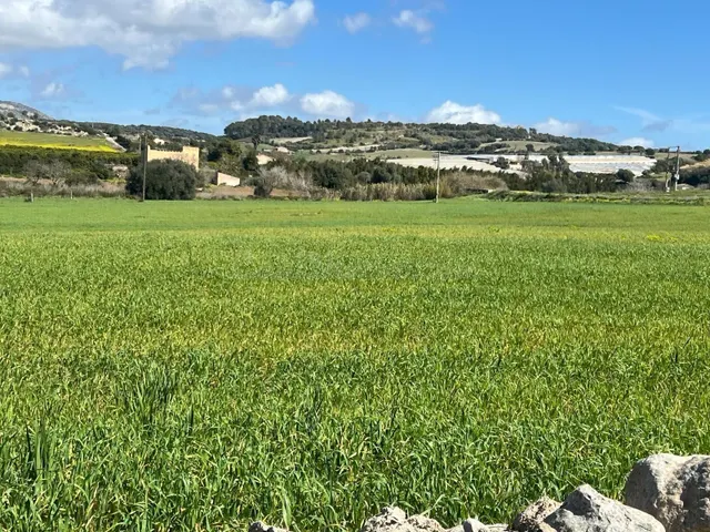 OPORTUNIDAD GRAN FINCA RUSTICA CON CASA TIPICA MALLORQUINA,  - foto 3
