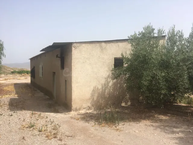 TERRENO CON CASA Y NAVES - foto 5