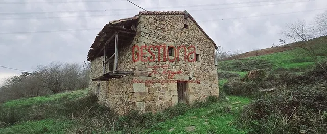 CABAÑA CON ARROYO, PROYECTO Y CAMBIO DE USO EN LLANOS. PENAG - foto 2