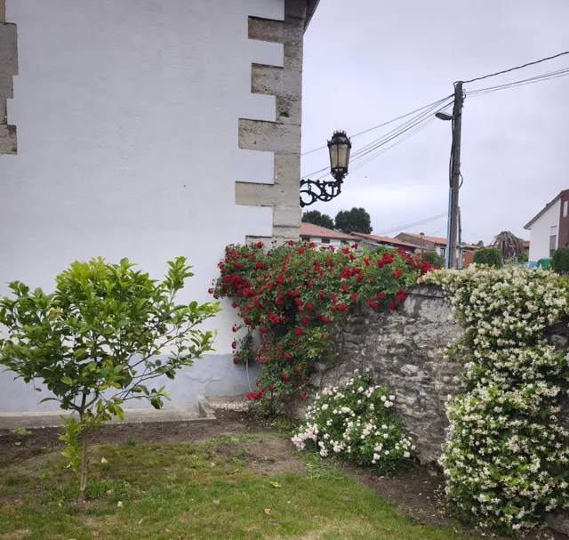 CASONA DE PIEDRA EN HINOJEDO — 11