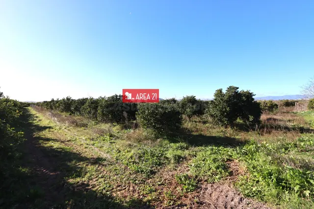 Campo para Cultivo de 5528 m2 en Benaguacil muy cerca a la P