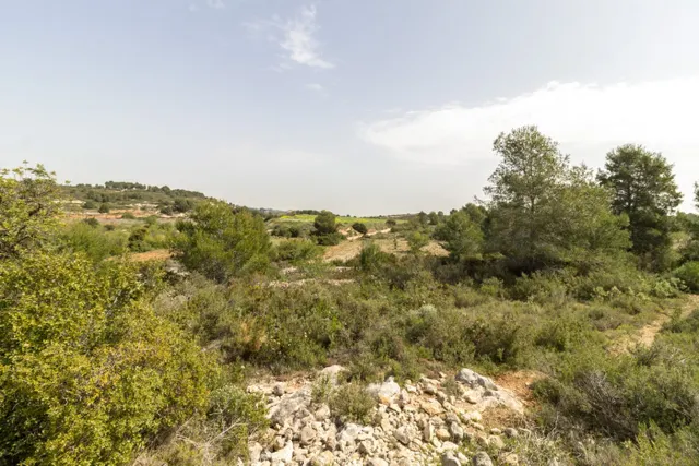 PARCELA ECONÓMICA EN MONSERRAT, EN LA URBANIZACIÓN COLINAS VENTA CABRERA. — 5