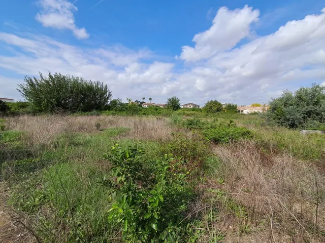 TERRENO EN VENTA EN HUERTA DE MURCIA - foto 2
