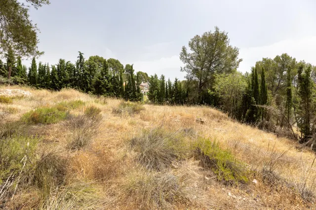 EXCLUSIVO TERRENO EN VENTA EN ALBOLOTE — 5