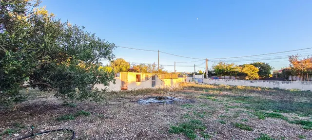 Chalet unifamiliar con árboles frutales en Urb. es Pinaret, Marratxí — 13