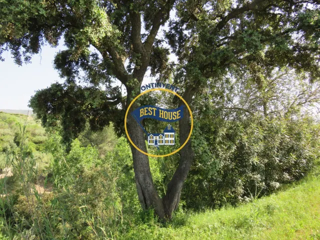 TERRENO CON POSIBILIDAD DE CONSTRUIR DOS CASITAS DE CAMPO MUY CERCA TÉRMINO AGULLENT — 7
