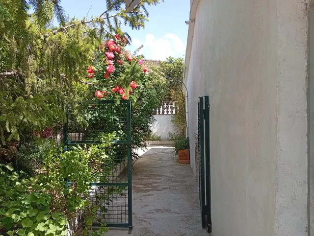 Vivienda unifamiliar independiente - Sant Jaume Dels Domenys — 41