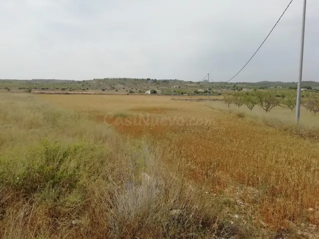 Terreno en La umbria - foto 3