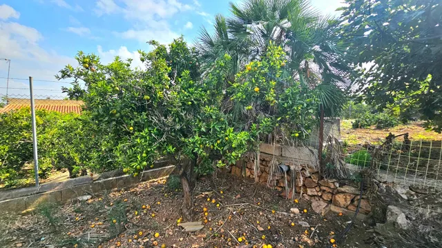 Encanto rural, tranquilidad y naturaleza en Les Coves (Corbera) — 29