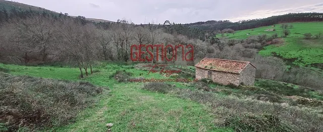 CABAÑA CON ARROYO,  PROYECTO Y CAMBIO DE USO EN LLANOS. PENAGOS — 4
