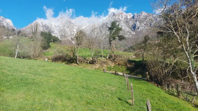 Finca urbanizable en Mogrovejo - foto 3
