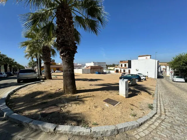 4 SOLARES EN LA LOCALIDAD DE BURGUILLOS, SEVILLA. - foto 2