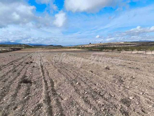 Suelo rústico en Venta en Jumilla Murcia — 11