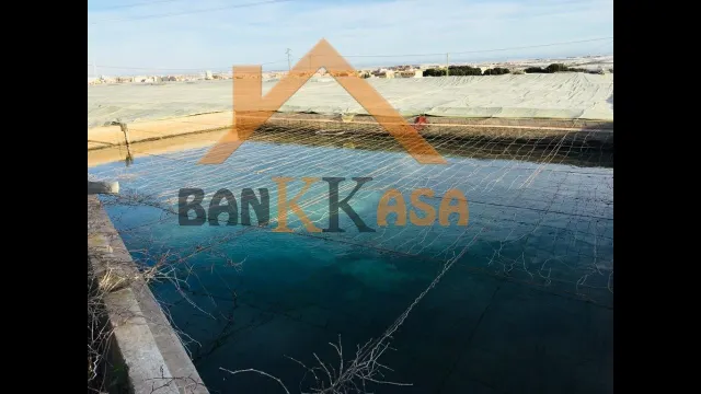 SE VENDE INVERNADERO EN EL EJIDO ZONA PARAJE CUATRO VIENTOS — 9