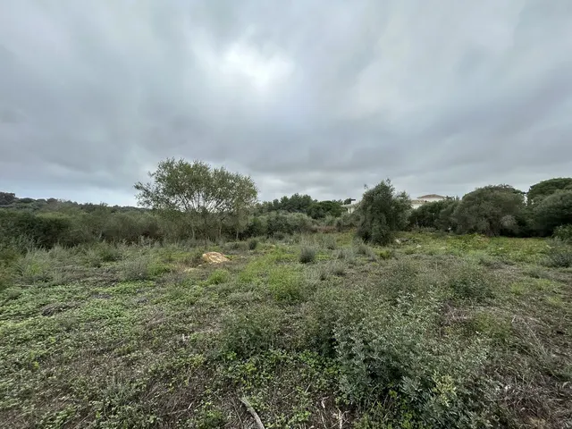 Parcela 1444m² en venta - Sotogrande Costa - foto 2