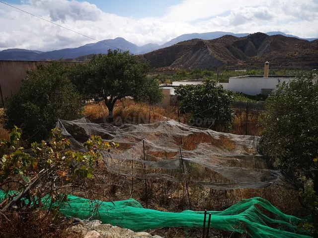Finca rústica en Santa Cruz de Marchena - foto 5